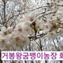 봉도농장 이미지