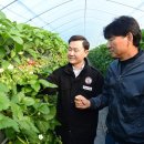 고령농업협동조합 이미지