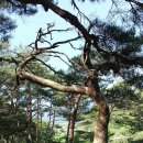 위천초등학교 | 서출동류 물길따라 수승대에서 건계정까지
