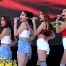 고흥유자석류축제 이미지