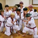 경희대태영태권도 이미지