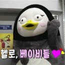 일신스포렉스 이미지