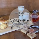 한재초등학교 | 광주근교카페: 분위기 좋은 커피 맛집 담양 스포트라이트커피