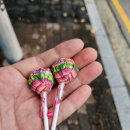 신광아이스크림할인점