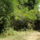 선교농장 이미지