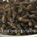 영천슈퍼 이미지