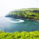 제주리조트 이미지