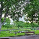 경희 행복나무 한의원 이미지