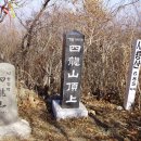 서오리 이미지