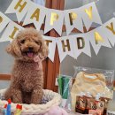 꾸밤꾸밤 이미지