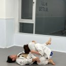 장촌초등학교 | 초보자도 부담 없이 시작한 일산주짓수 체험 후기 🥋