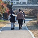 겨울을 지키는ㅡ남천나무 열매 - by 모모수계 이미지