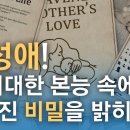 모성애! 그 위대한 본능 속에 감춰진 비밀을 밝히다 [하나님의 교회] 어머니 하나님 이미지