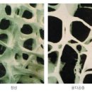 바른등신경외과의원 이미지
