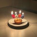 봄동살롱 | 2025 하반기 기록