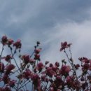 가곡농장 이미지