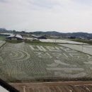 순천만 뜰 이미지