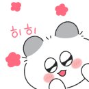 YOON FOREST 이미지