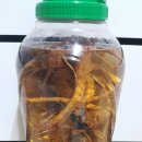 (주)다람지 이미지