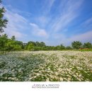 악양생태공원 이미지