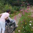 매그너스요양병원 이미지