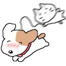 연희종로약국 이미지