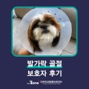 모루 동물의료센터 이미지