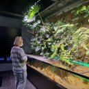 태수아쿠아 | 양재 🐠아쿠아가든 카페🐠 세상 물고기 다 볼 거야