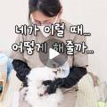 고양이의 산책:묘책 이미지