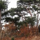 전반전후반전 이미지