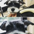 페츠비동물병원 이미지