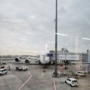 542 | 아시아나 프랑크푸르트 ➡️ 인천 (OZ542) 비즈니스 스마티움 후기 (feat. 프랑크푸르트 공항 택스 리펀)