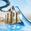 비발디파크오션월드 이미지