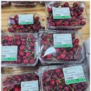 경주농협 로컬푸드직매장 모아점