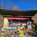 홍시먹으러곶감 이미지