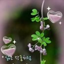 🌻 2월에 가면 좋은 겨울 국내여행지 베스트 4 이미지