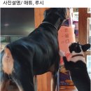 먹고 살 만하면 동창회 나간다?! 이미지