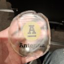 루시드 | 루시드폴 콘서트 후기｜‘또 다른 곳’ 11집 발매 공연, 감성 가득한 2시간