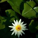 보화당 - 2247 | 보화당