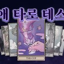 타로한잔 이미지
