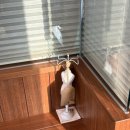 알콩제주 | [제주:한림] 풀벗아그리투리스모 '귤향'후기 | 제주 서쪽 감성 숙소 추천 | 협재·금능해수욕장