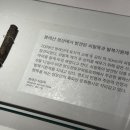 영도구청(본관) 네이버블로그