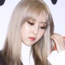 도도코스메틱 - 수성구 들안로16길 28 | 도도코스메틱