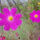 강동어르신행복센터 이미지