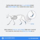 속초삼성동물병원 이미지