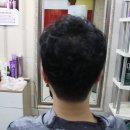 우림집투 이미지