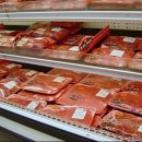 미국산 소고기는 `광우병`을 사먹는 위험천만한 짓입니다. 이미지