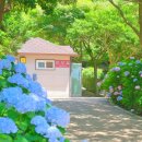 이순신공원(중간) 이미지