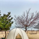 바다와 파도소리 이미지