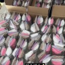 안양부흥초등학교 이미지